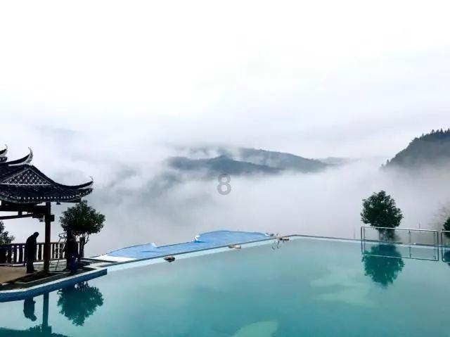 爱吃叶子的毛毛虫
