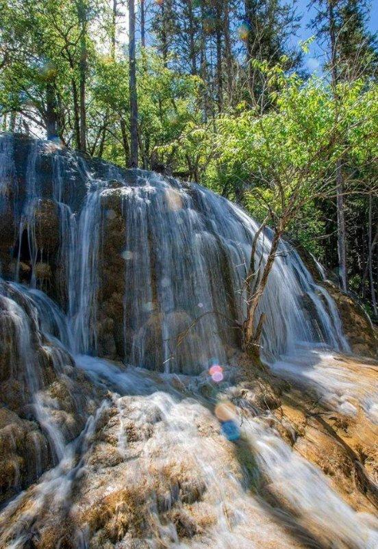 一抹“荧光绿” 温暖这座城